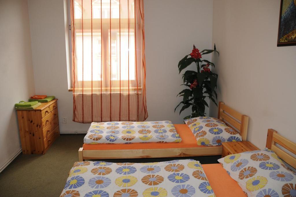 Penzion Pupendo Hradec Kralove Exterior photo