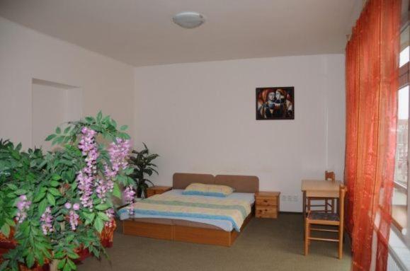 Penzion Pupendo Hradec Kralove Exterior photo